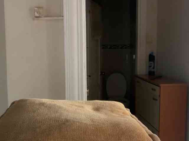 ANDREX1X