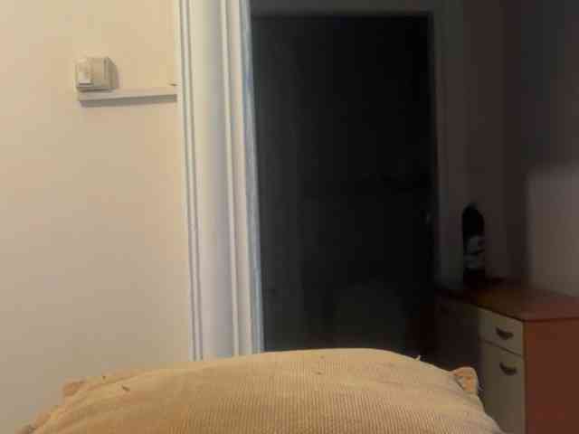 ANDREX1X
