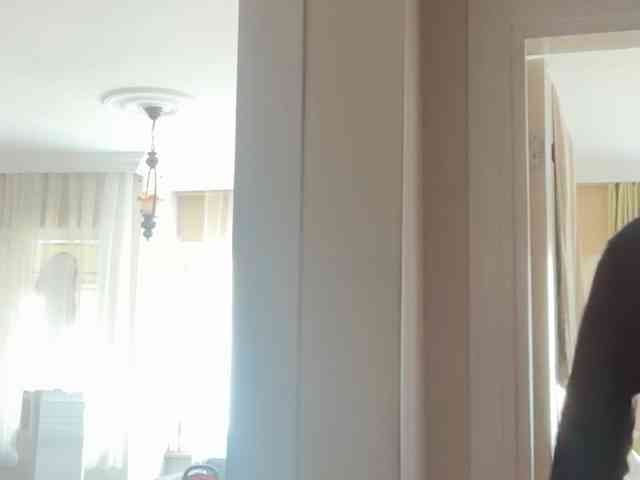 ANDREX1X