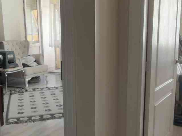 ANDREX1X