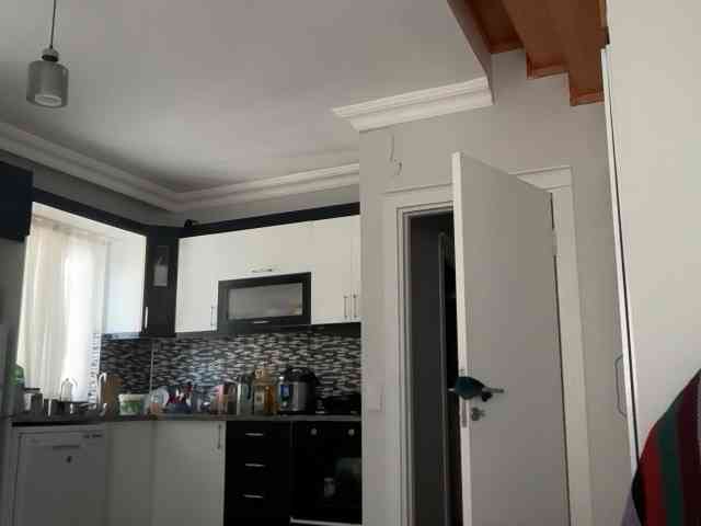 ANDREX1X