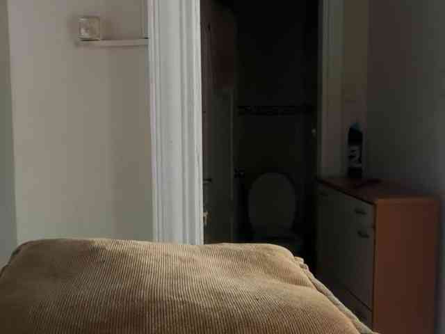 ANDREX1X