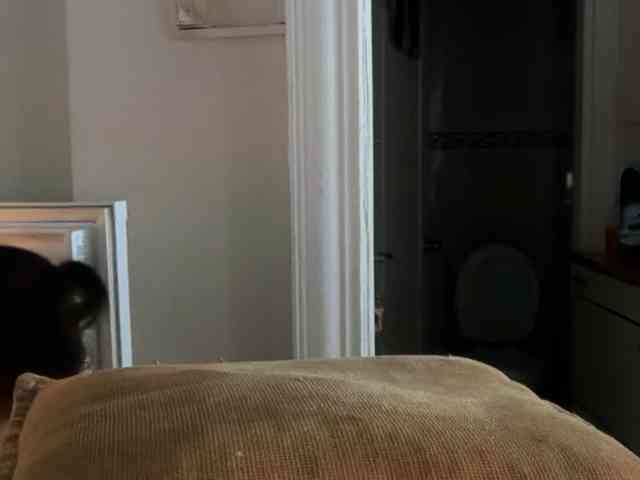 ANDREX1X