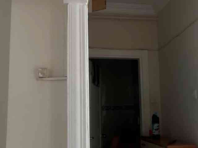 ANDREX1X