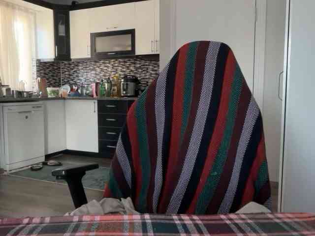 ANDREX1X