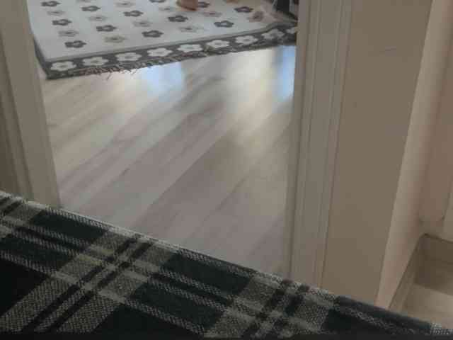 ANDREX1X