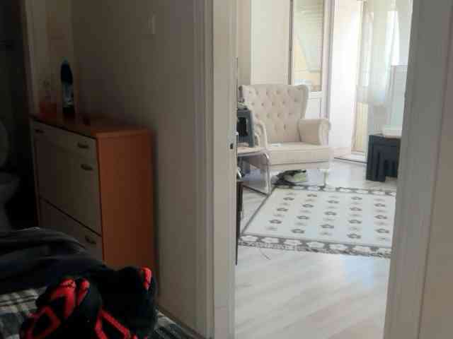 ANDREX1X