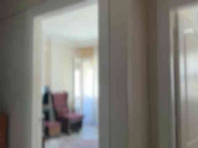 ANDREX1X