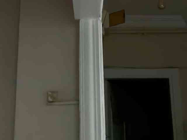 ANDREX1X