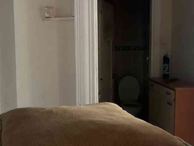 ANDREX1X