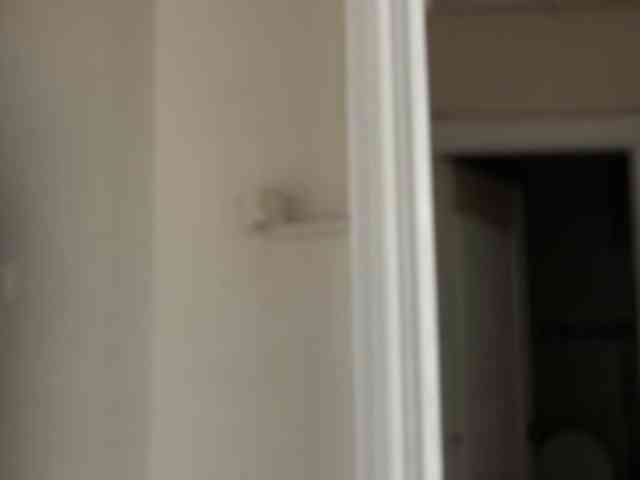ANDREX1X