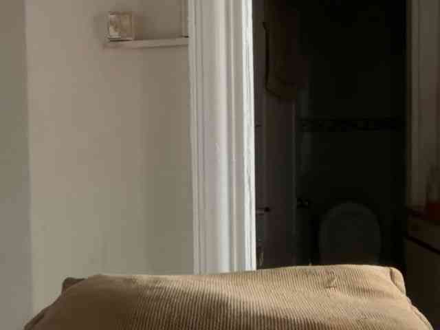 ANDREX1X