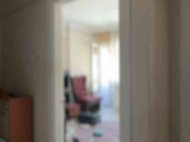 ANDREX1X