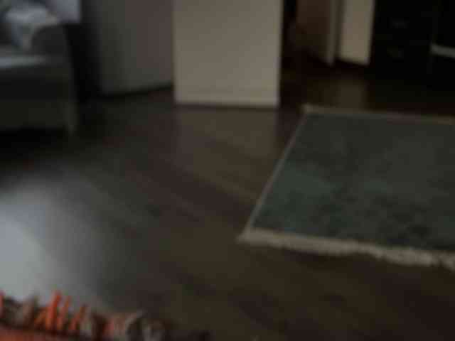 ANDREX1X ANDREX1X