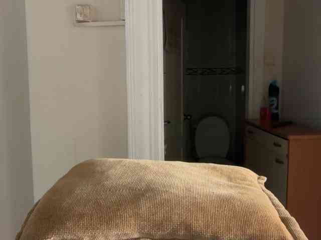 ANDREX1X