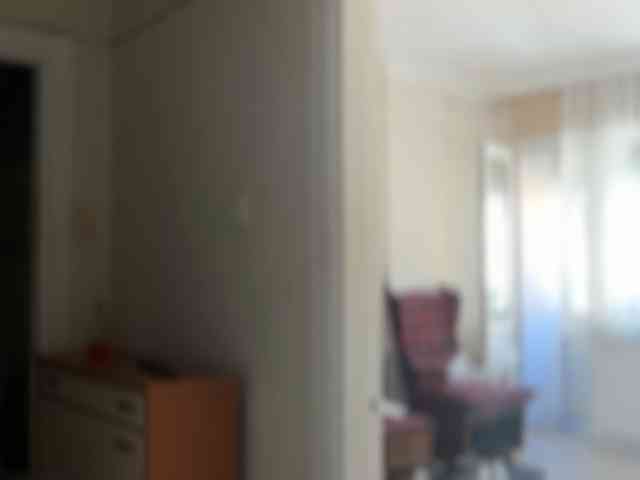 ANDREX1X