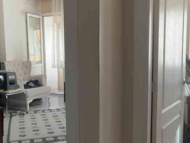 ANDREX1X