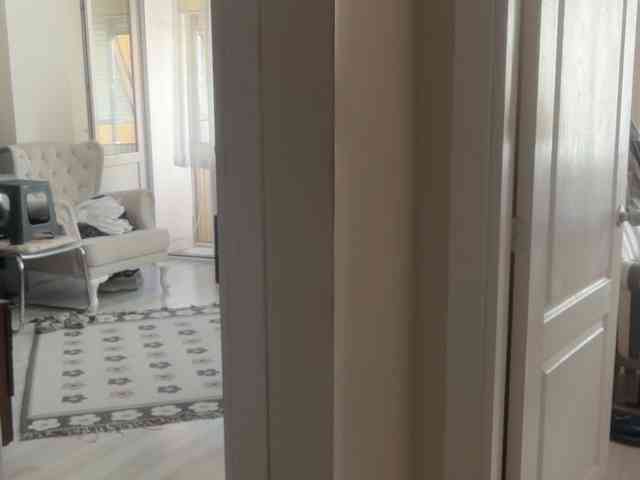 ANDREX1X