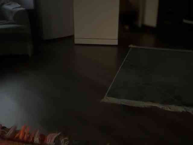 ANDREX1X