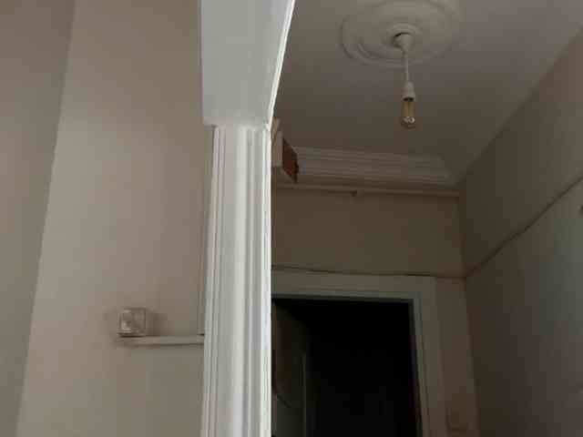 ANDREX1X