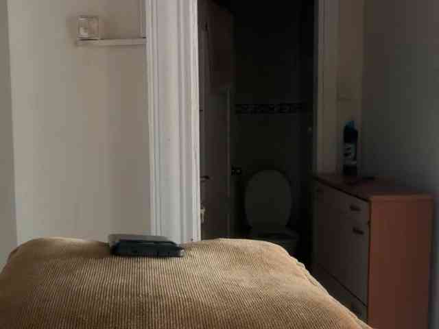 ANDREX1X