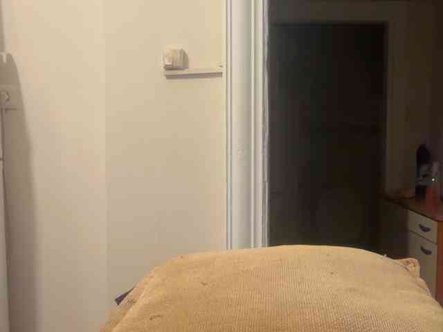 ANDREX1X
