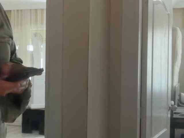ANDREX1X