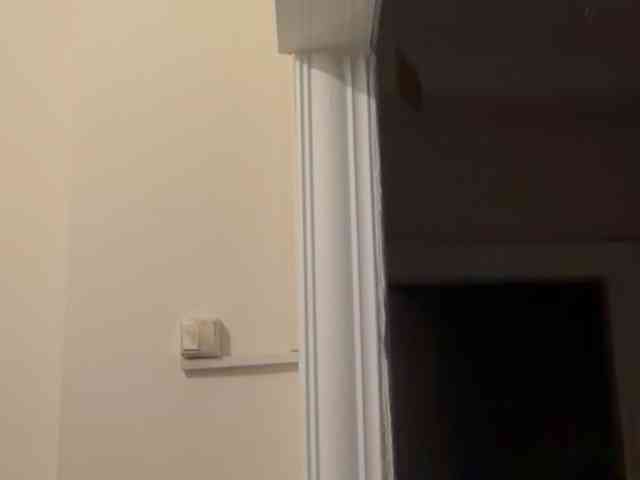ANDREX1X