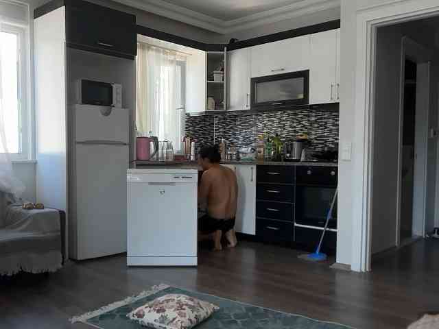 ANDREX1X