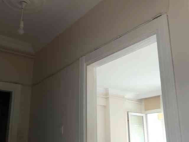ANDREX1X