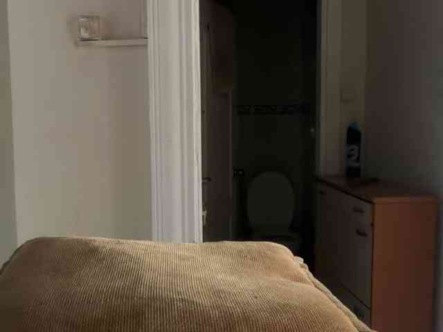 ANDREX1X