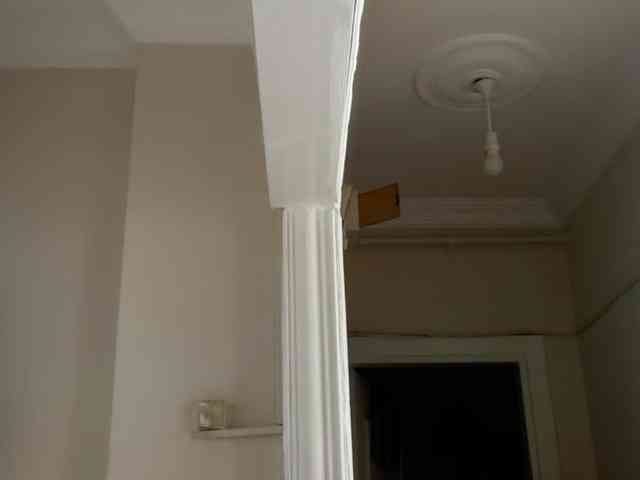 ANDREX1X