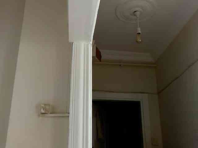 ANDREX1X