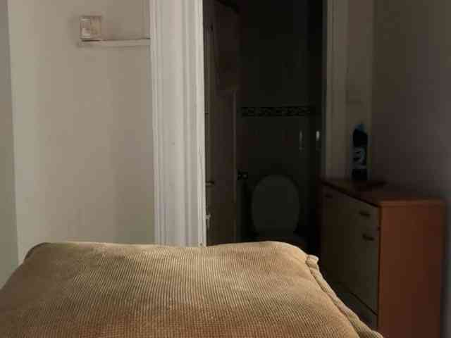 ANDREX1X