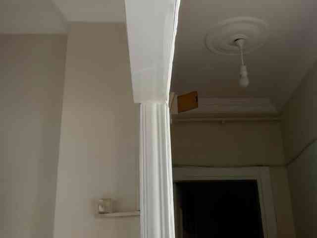 ANDREX1X
