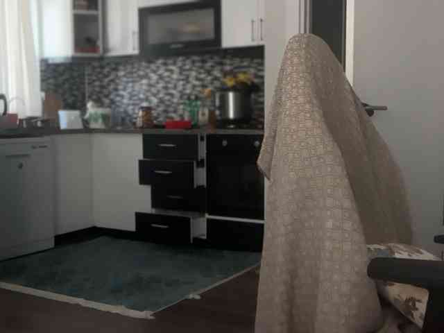 ANDREX1X
