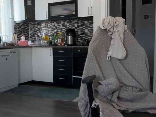 ANDREX1X