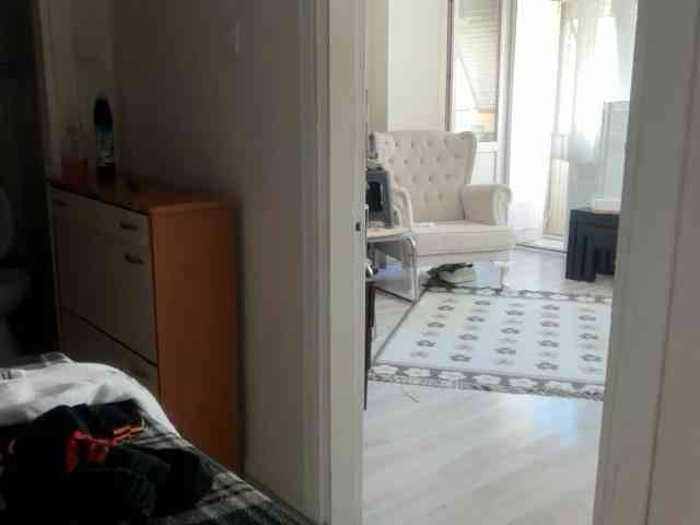 ANDREX1X