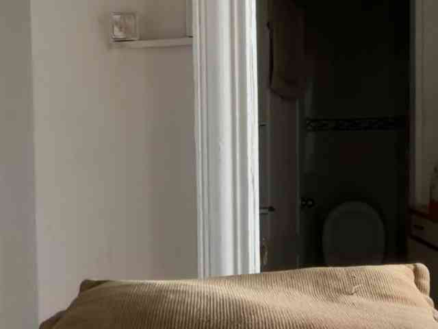 ANDREX1X