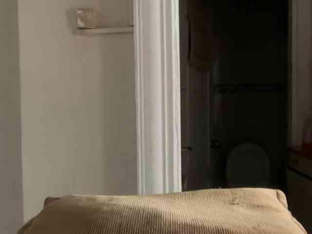 ANDREX1X