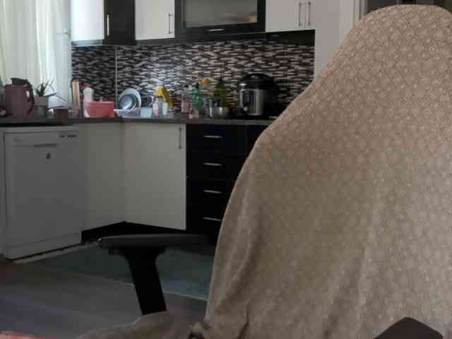 ANDREX1X