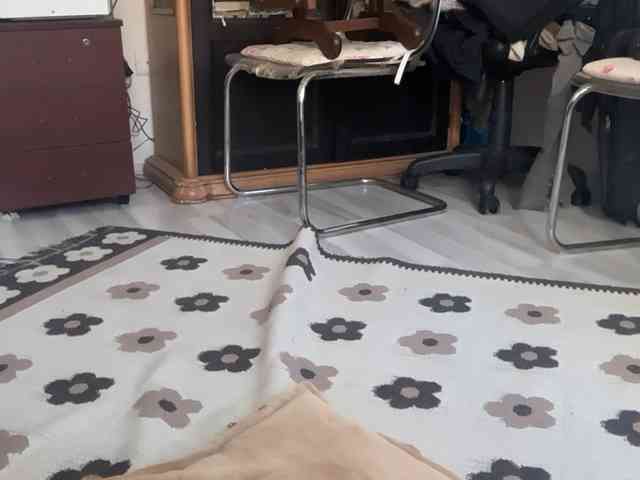 ANDREX1X