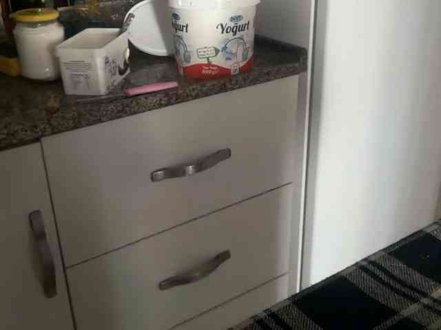 ANDREX1X