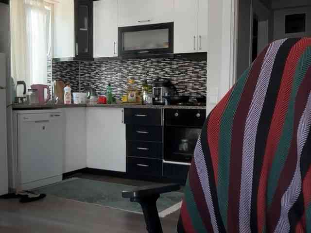 ANDREX1X
