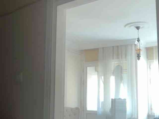 ANDREX1X