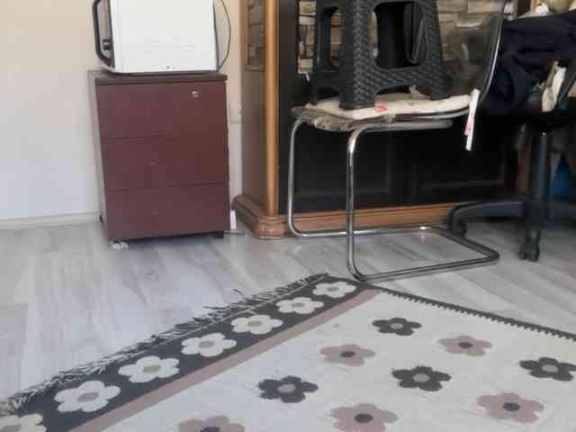 ANDREX1X