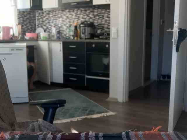 ANDREX1X