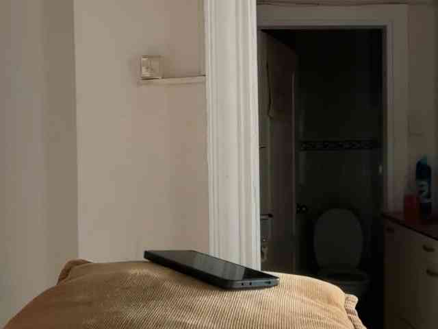 ANDREX1X