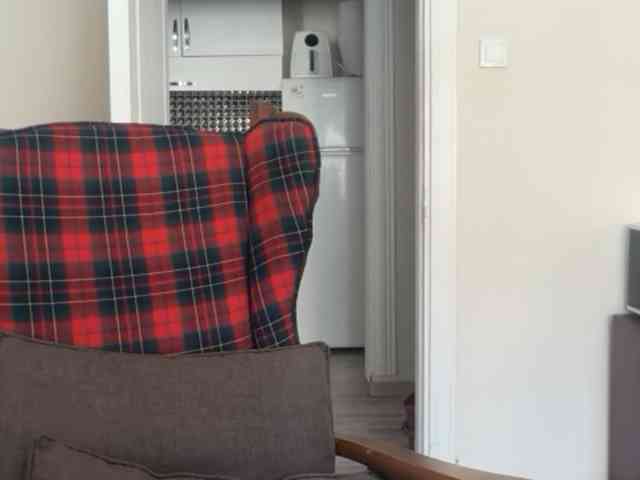 ANDREX1X