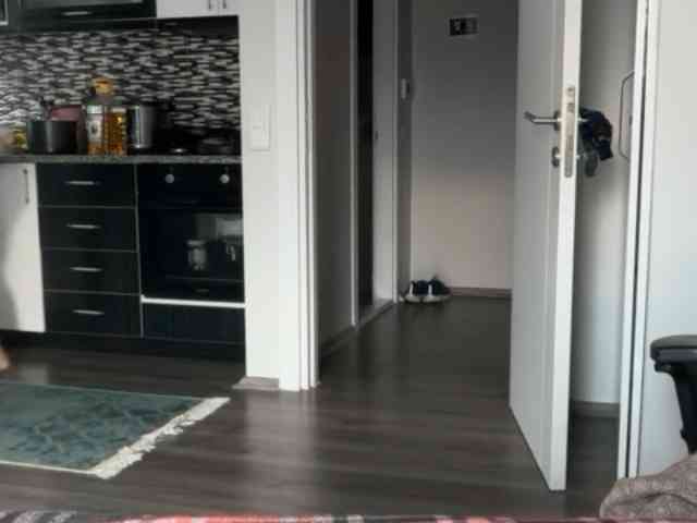ANDREX1X